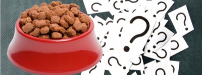 宠物食品品牌如何利用新4Cs脱颖而出？
