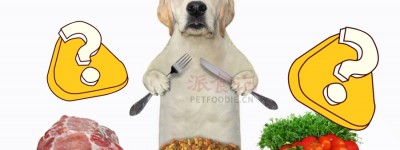 营销烟雾弹，如何识别「狗粮包装」的营养陷阱？