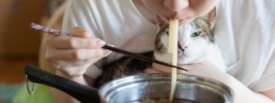 惊！猫咪挑食暴露主人性格，狗狗食欲反映主人心理