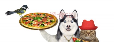 速看！2024全球宠物博览会（GPE）透露3大宠物食品趋势