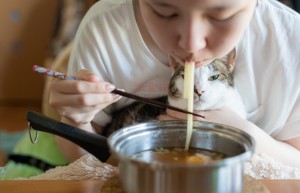 惊！猫咪挑食暴露主人性格，狗狗食欲反映主人心理