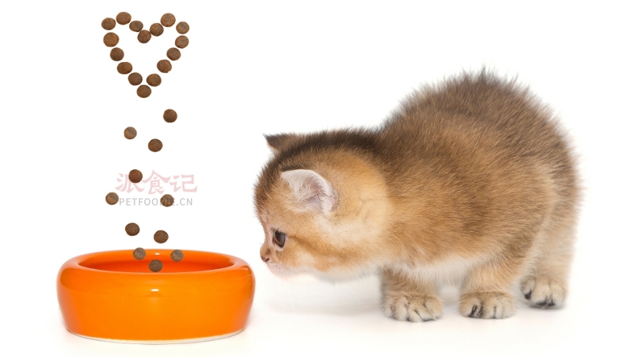 猫必须在各个生命阶段获得足够的饮水 猫必须在各个生命阶段获得足够的饮水